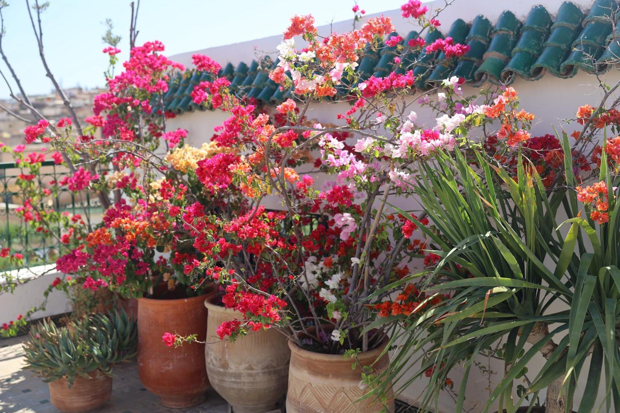 Riad Batchisarai Fes Luaran gambar